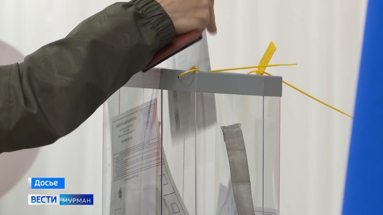 Дистанционное электронное голосование на выборах президента наряду с традиционным пройдет в Мурманской области